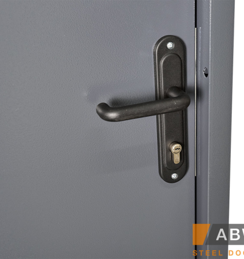 Технічні двері Storage. Колір: Колір на вибір