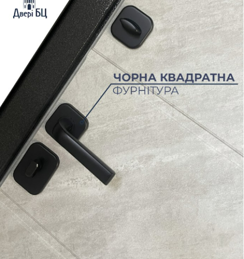 Вхідні двері Січ 1. Колір: чорно-сірий мікс + зріз каменю